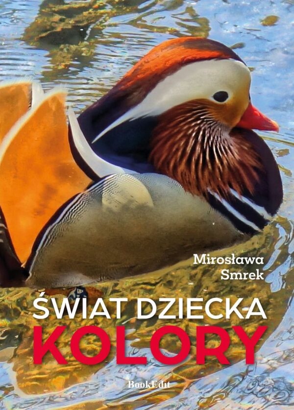 Świat dziecka. Kolory - 978-83-67539-97-5