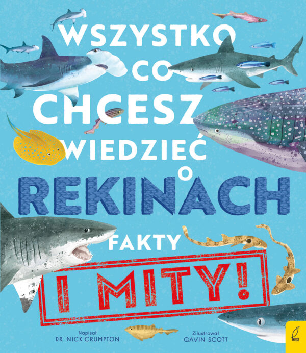 Wszystko