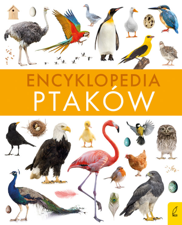 Encyklopedia ptaków - 978-83-8318-065-6