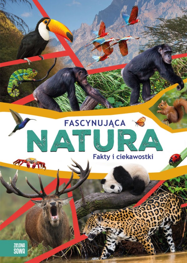 Fascynująca natura - 978-83-8299-568-8