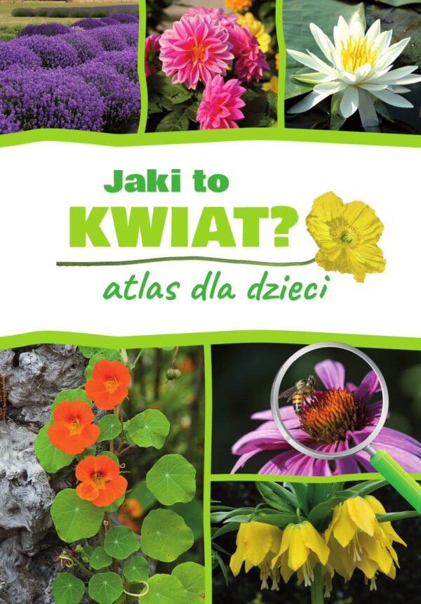 Jaki to kwiat? Atlas dla dzieci - 978-83-8348-381-8