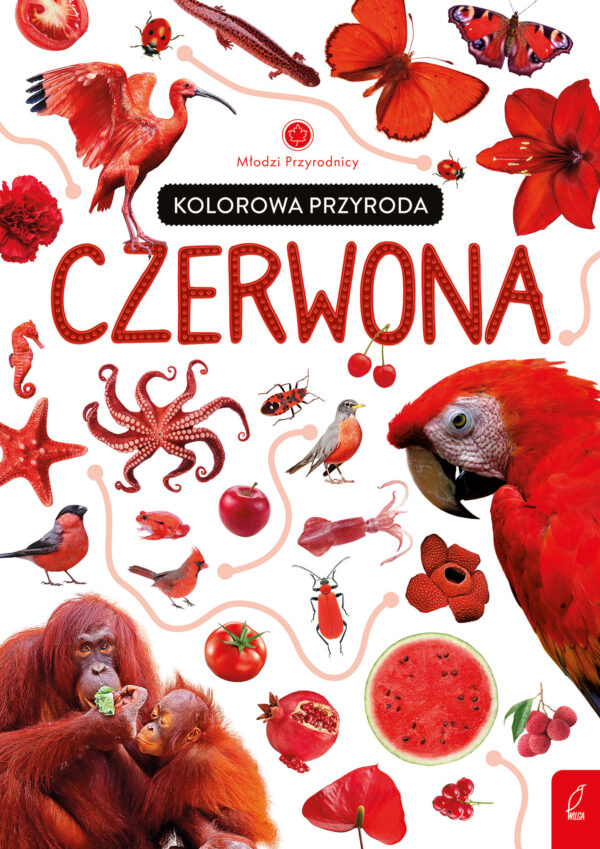 Kolorowa przyroda. Czerwona. Młodzi przyrodnicy - 978-83-8318-834-8