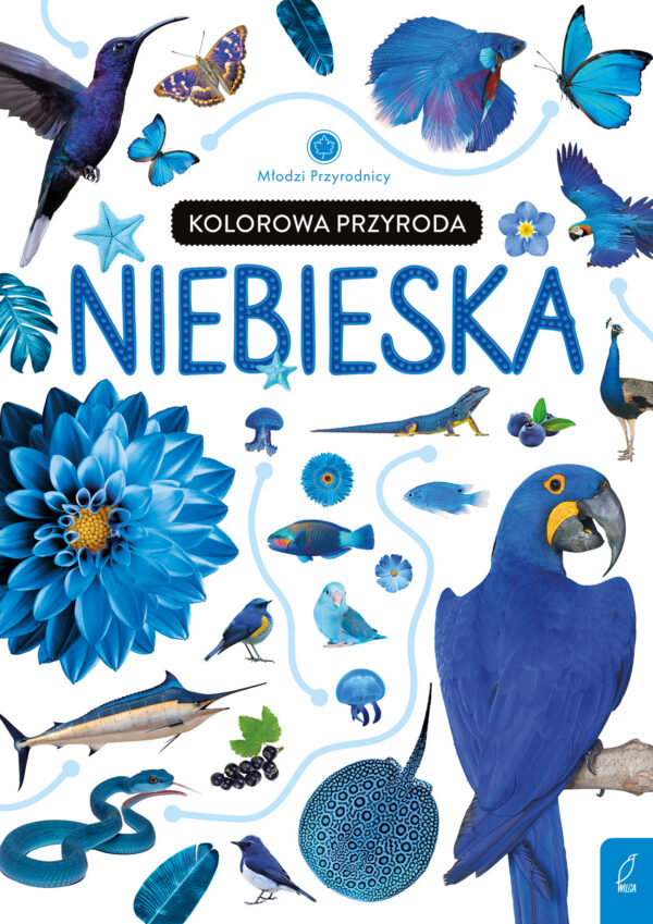 Kolorowa przyroda. Niebieska. Młodzi przyrodnicy - 978-83-8318-835-5