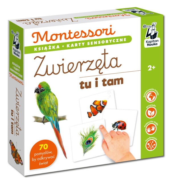 Zwierzęta tu i tam.  Kapitan Nauka. Montessori. Karty sensoryczne - 978-83-68044-12-6