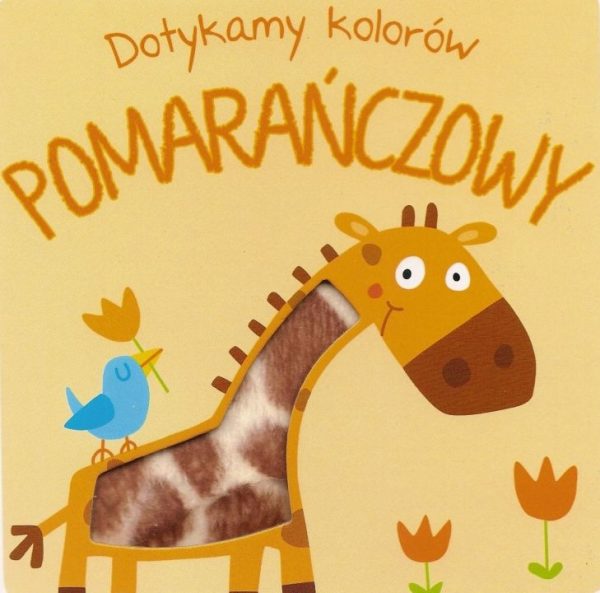 Pomarańczowy. Dotykamy kolorów - 978-94-6454-021-5