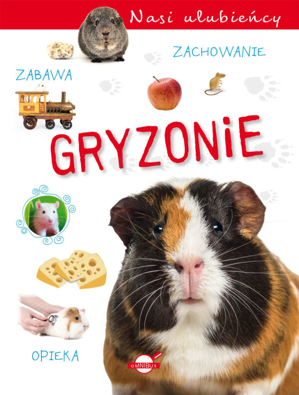 Gryzonie. Nasi ulubieńcy - 9788368258264